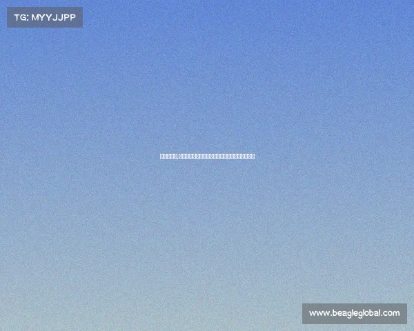 做赛事公司,卓越赛事策划公司：专业创新引领未来赛事新标杆