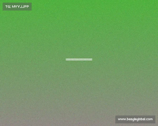 全运会男篮辽宁赛事—全运会男篮辽宁队直播