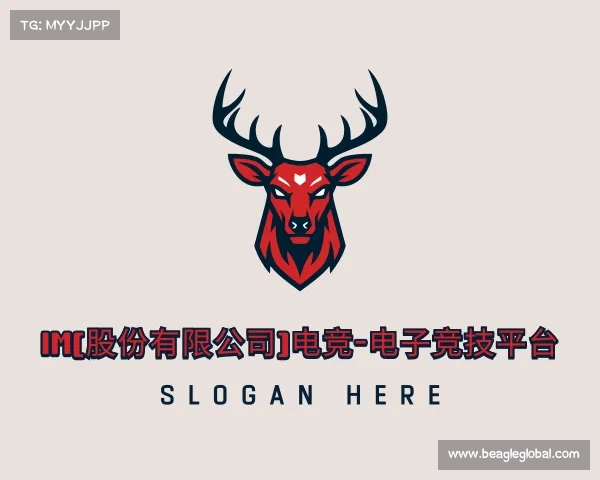 网址IM(股份有限公司)电竞-电子竞技平台